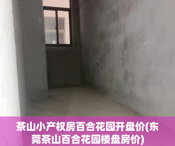 茶山小产权房百合花园开盘价(东莞茶山百合花园楼盘房价) 茶山小产权房百合花园开盘价(东莞茶山百合花园楼盘房价)