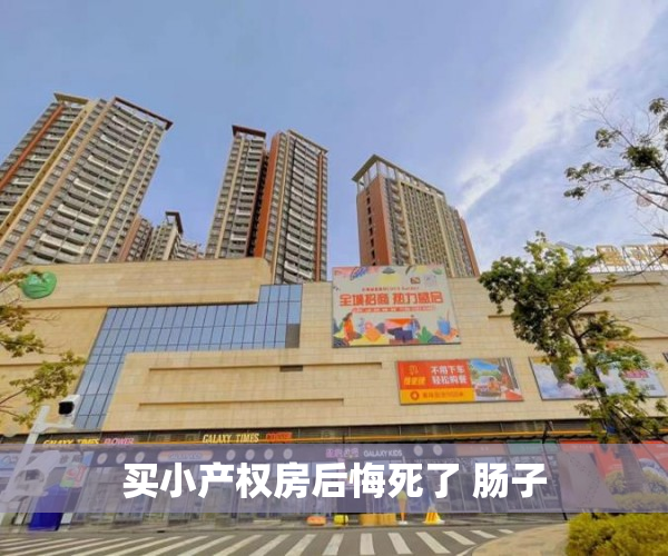 买小产权房后悔死了 肠子 买小产权房后悔死了 肠子