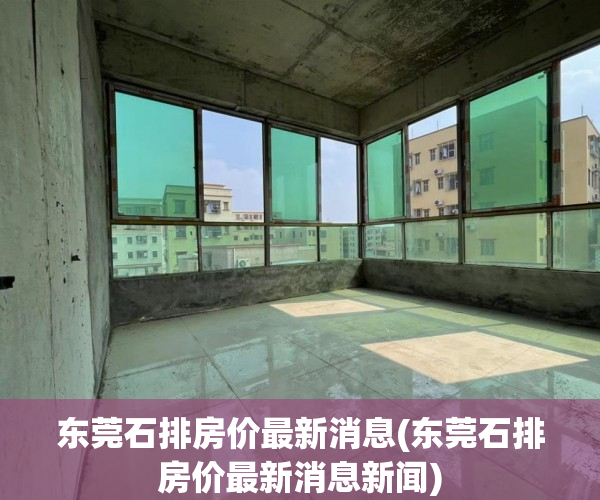东莞石排房价最新消息(东莞石排房价最新消息新闻)