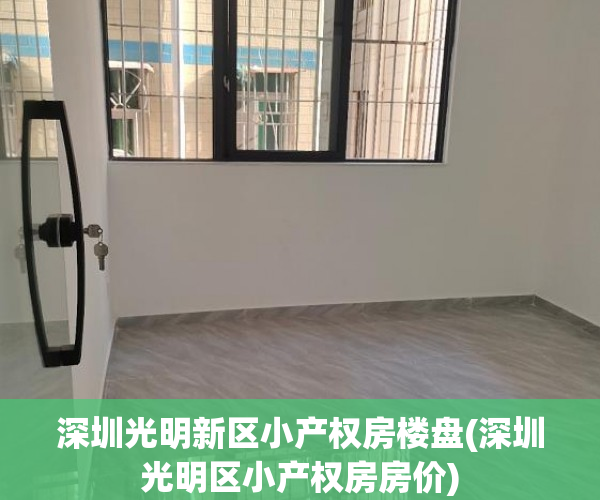 深圳光明新区小产权房楼盘(深圳光明区小产权房房价) 深圳光明新区小产权房楼盘(深圳光明区小产权房房价)