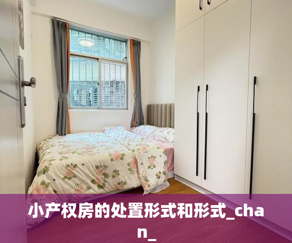 小产权房的处置形式和形式_chan_