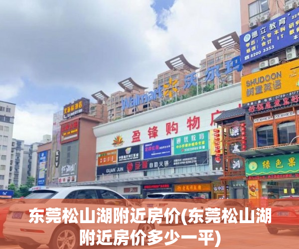 东莞松山湖附近房价(东莞松山湖附近房价多少一平) 东莞松山湖附近房价(东莞松山湖附近房价多少一平)