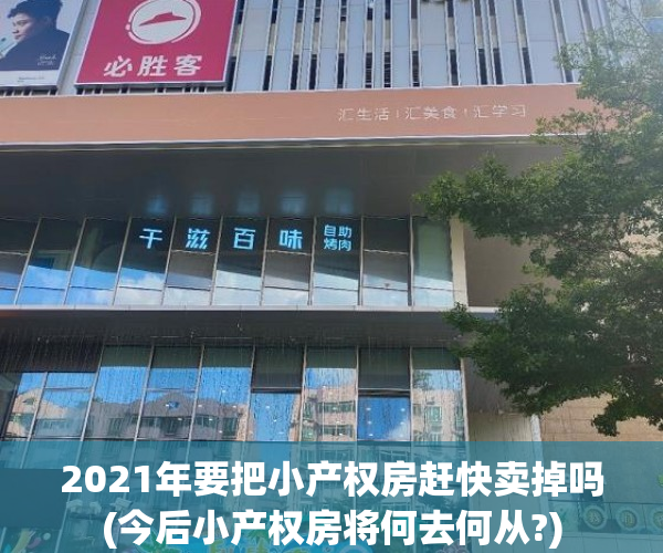 2021年要把小产权房赶快卖掉吗(今后小产权房将何去何从?)