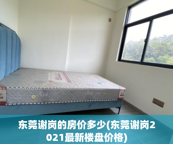 东莞谢岗的房价多少(东莞谢岗2021最新楼盘价格) 东莞谢岗的房价多少(东莞谢岗2021最新楼盘价格)