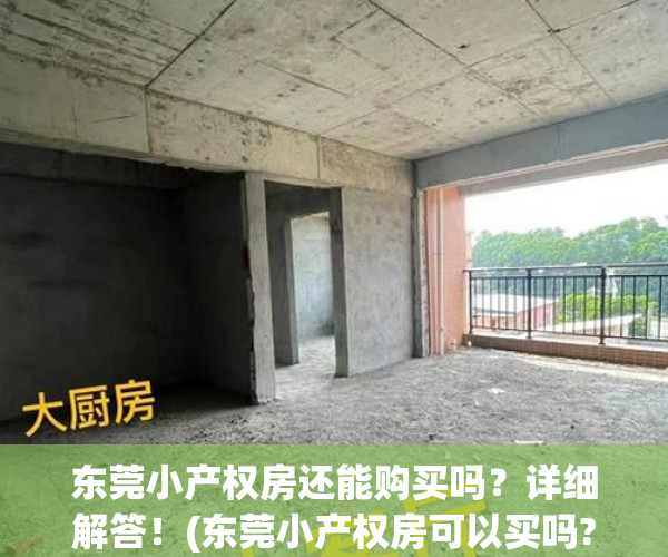 东莞小产权房还能购买吗？详细解答！(东莞小产权房可以买吗?产权房)