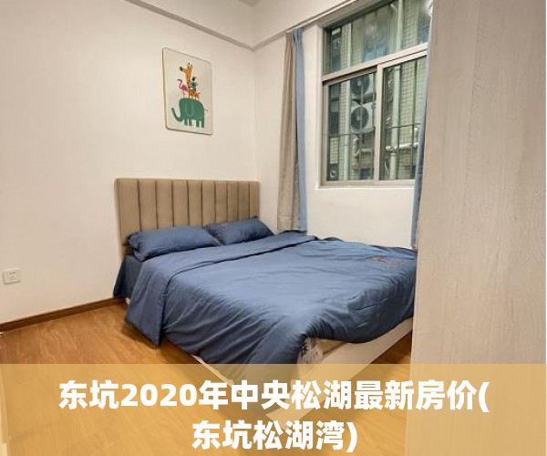 东坑2020年中央松湖最新房价(东坑松湖湾)