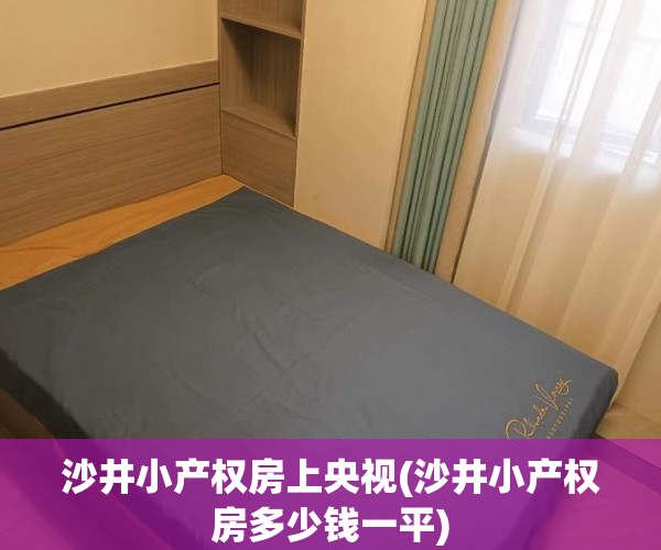 沙井小产权房上央视(沙井小产权房多少钱一平) 沙井小产权房上央视(沙井小产权房多少钱一平)