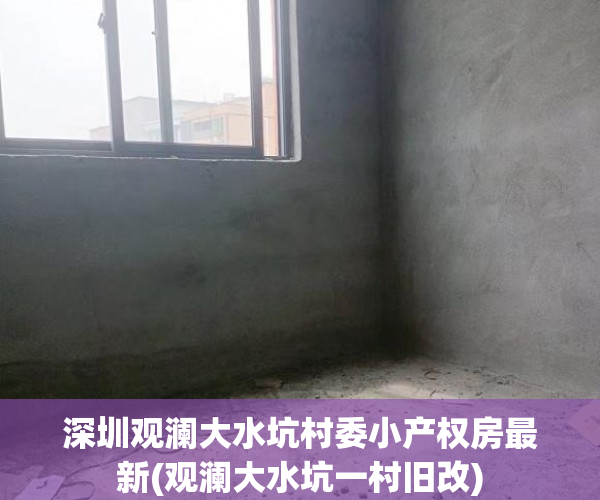 深圳观澜大水坑村委小产权房最新(观澜大水坑一村旧改)