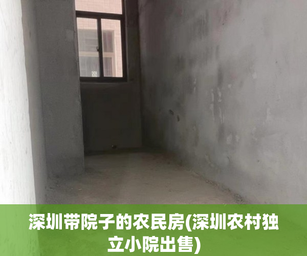 深圳带院子的农民房(深圳农村独立小院出售) 深圳带院子的农民房(深圳农村独立小院出售)