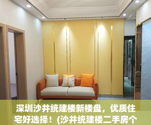 深圳沙井统建楼新楼盘，优质住宅好选择！(沙井统建楼二手房个人出售)