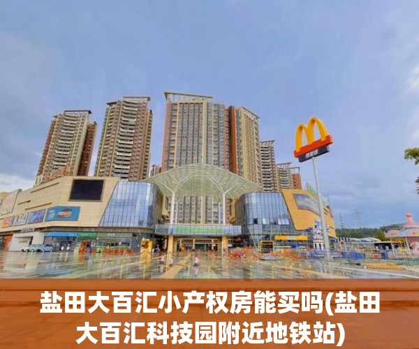 盐田大百汇小产权房能买吗(盐田大百汇科技园附近地铁站) 盐田大百汇小产权房能买吗(盐田大百汇科技园附近地铁站)