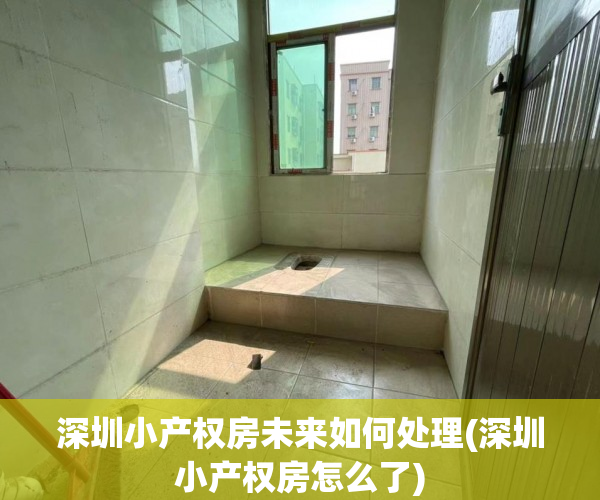 深圳小产权房未来如何处理(深圳小产权房怎么了) 深圳小产权房未来如何处理(深圳小产权房怎么了)