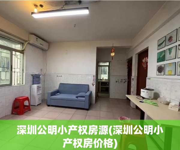 深圳公明小产权房源(深圳公明小产权房价格)