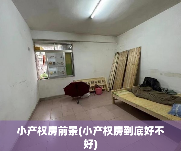 小产权房前景(小产权房到底好不好)