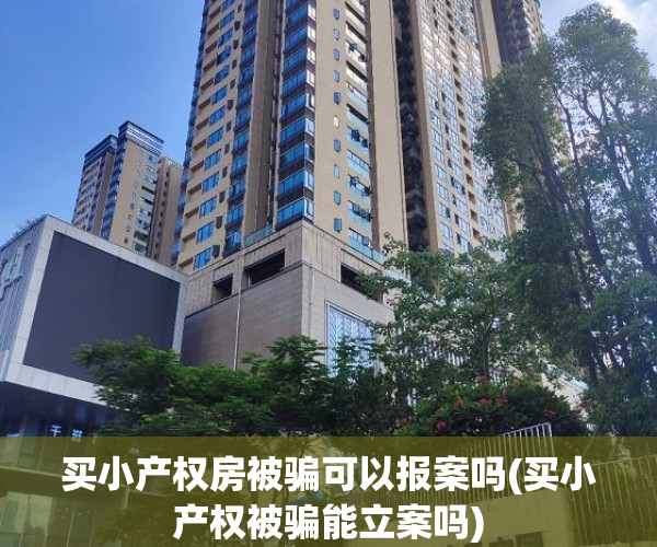 买小产权房被骗可以报案吗(买小产权被骗能立案吗)