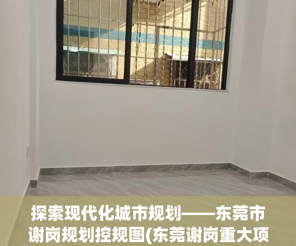 探索现代化城市规划——东莞市谢岗规划控规图(东莞谢岗重大项目规划)