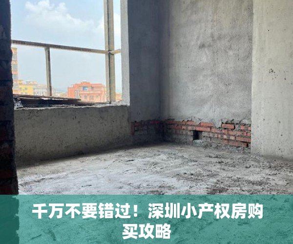 千万不要错过！深圳小产权房购买攻略