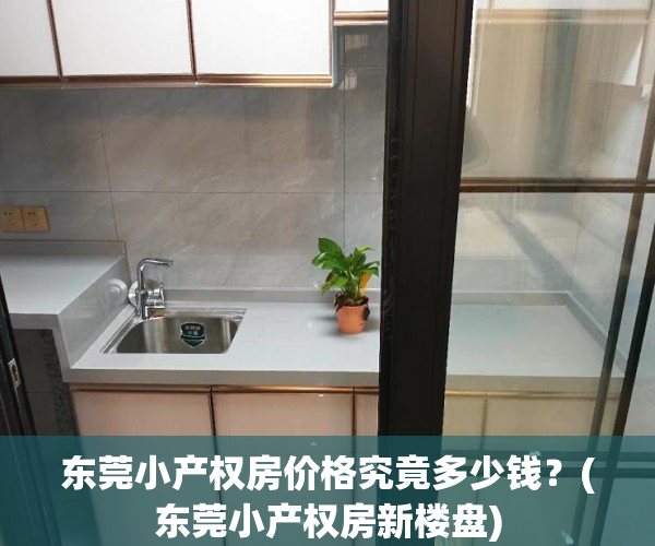 东莞小产权房价格究竟多少钱？(东莞小产权房新楼盘)