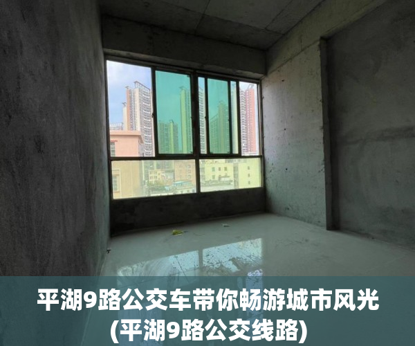 平湖9路公交车带你畅游城市风光(平湖9路公交线路)
