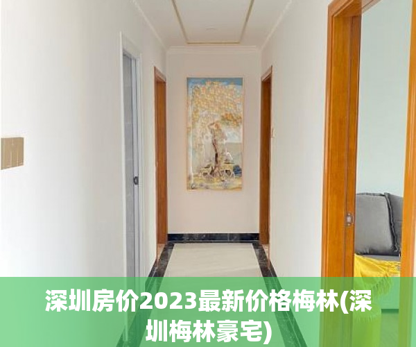 深圳房价2023最新价格梅林(深圳梅林豪宅) 深圳房价2023最新价格梅林(深圳梅林豪宅)