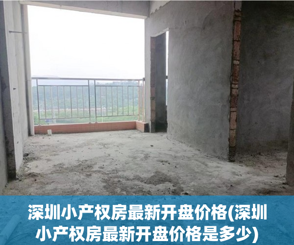 深圳小产权房最新开盘价格(深圳小产权房最新开盘价格是多少)