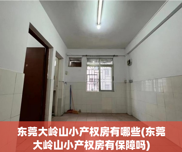 东莞大岭山小产权房有哪些(东莞大岭山小产权房有保障吗)