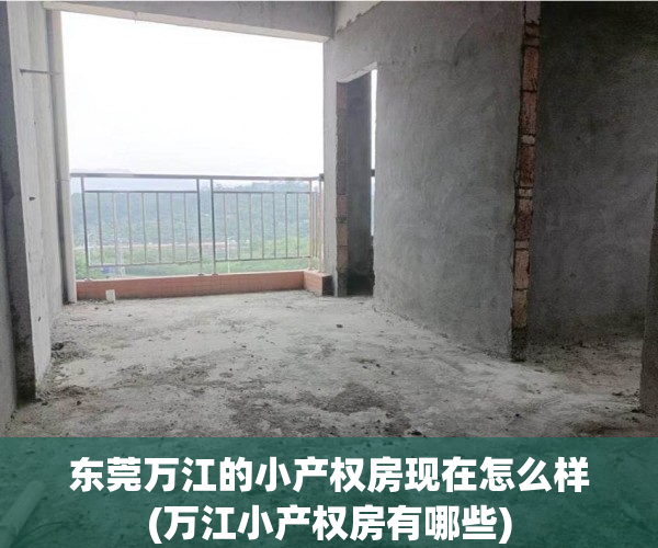东莞万江的小产权房现在怎么样(万江小产权房有哪些) 东莞万江的小产权房现在怎么样(万江小产权房有哪些)