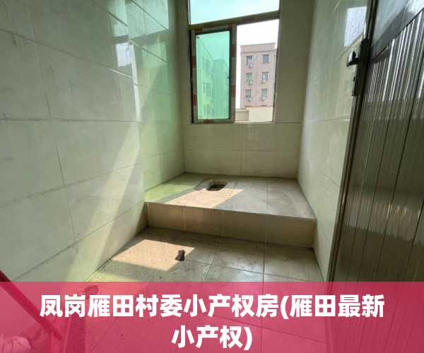 凤岗雁田村委小产权房(雁田最新小产权) 凤岗雁田村委小产权房(雁田最新小产权)