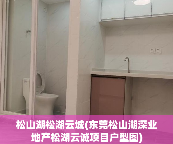 松山湖松湖云城(东莞松山湖深业地产松湖云诚项目户型图) 松山湖松湖云城(东莞松山湖深业地产松湖云诚项目户型图)