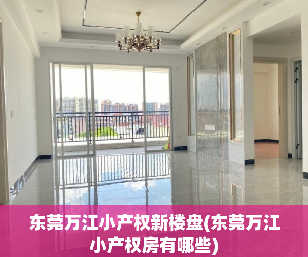 东莞万江小产权新楼盘(东莞万江小产权房有哪些) 东莞万江小产权新楼盘(东莞万江小产权房有哪些)