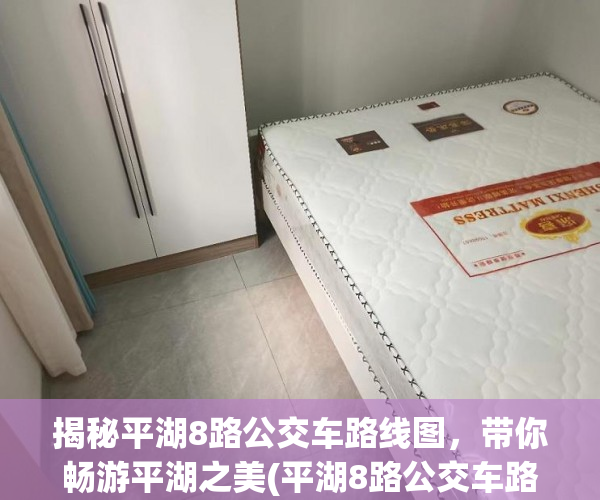 揭秘平湖8路公交车路线图，带你畅游平湖之美(平湖8路公交车路线路线)