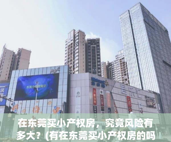 在东莞买小产权房，究竟风险有多大？(有在东莞买小产权房的吗)