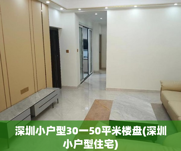 深圳小户型30一50平米楼盘(深圳小户型住宅) 深圳小户型30一50平米楼盘(深圳小户型住宅)