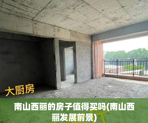南山西丽的房子值得买吗(南山西丽发展前景) 南山西丽的房子值得买吗(南山西丽发展前景)