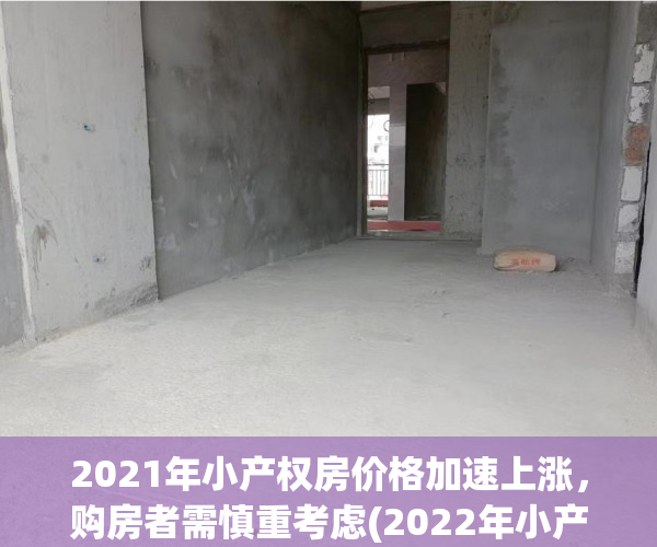 2021年小产权房价格加速上涨，购房者需慎重考虑(2022年小产权房)
