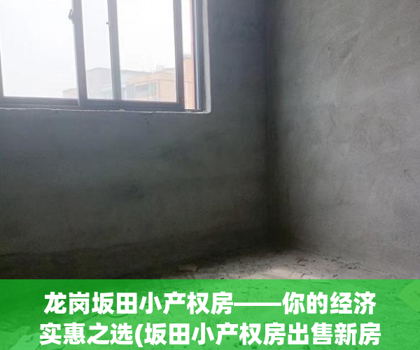 龙岗坂田小产权房——你的经济实惠之选(坂田小产权房出售新房)