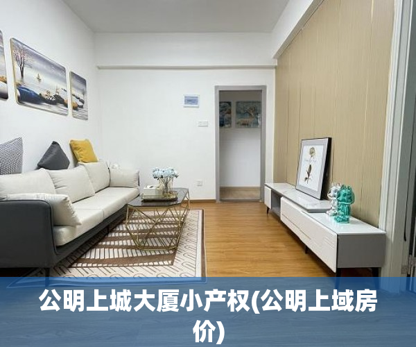 公明上城大厦小产权(公明上域房价) 公明上城大厦小产权(公明上域房价)