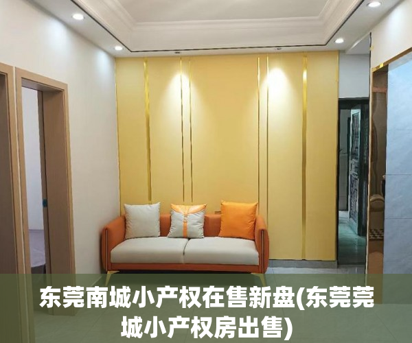 东莞南城小产权在售新盘(东莞莞城小产权房出售) 东莞南城小产权在售新盘(东莞莞城小产权房出售)