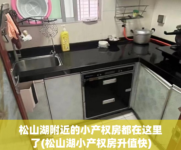 松山湖附近的小产权房都在这里了(松山湖小产权房升值快) 松山湖附近的小产权房都在这里了(松山湖小产权房升值快)