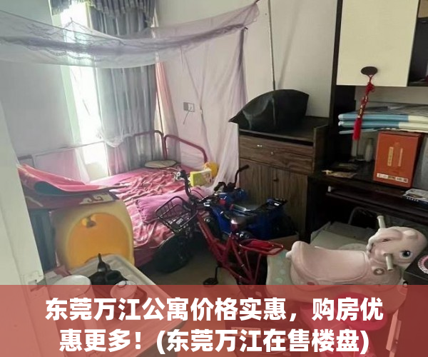 东莞万江公寓价格实惠，购房优惠更多！(东莞万江在售楼盘)