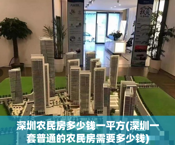 深圳农民房多少钱一平方(深圳一套普通的农民房需要多少钱)