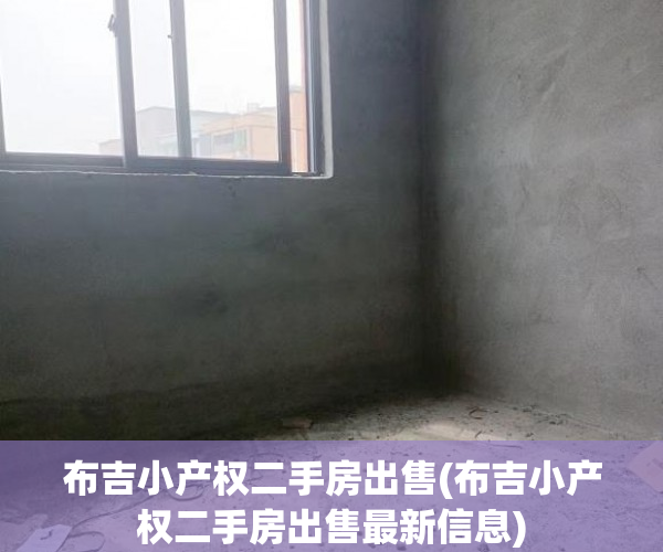 布吉小产权二手房出售(布吉小产权二手房出售最新信息)