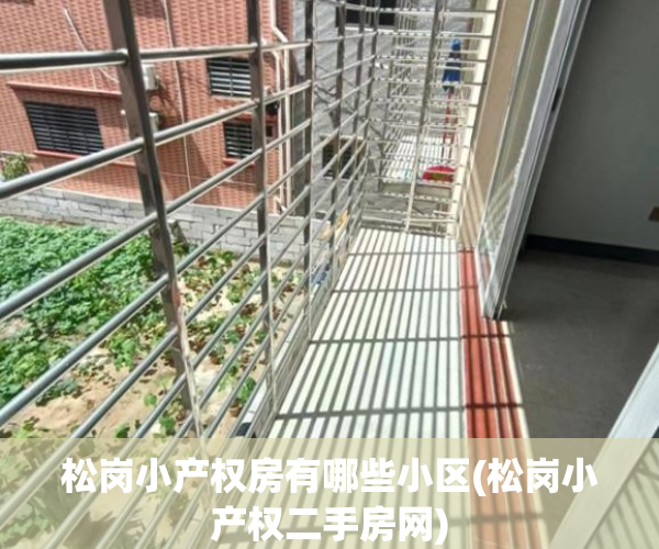 松岗小产权房有哪些小区(松岗小产权二手房网)