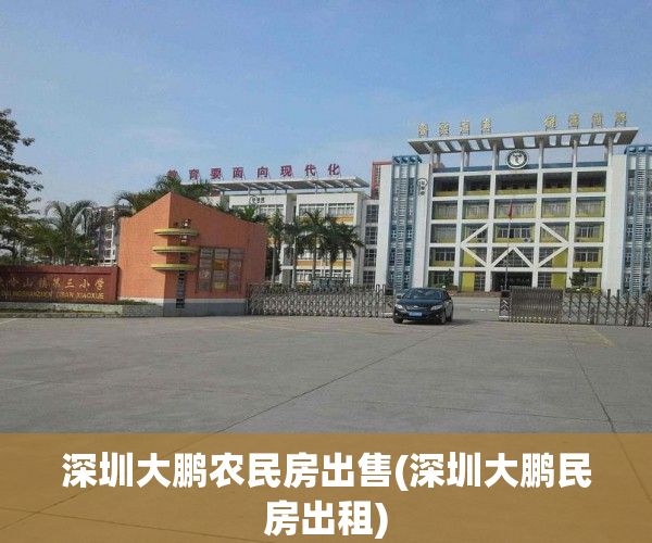 深圳大鹏农民房出售(深圳大鹏民房出租)