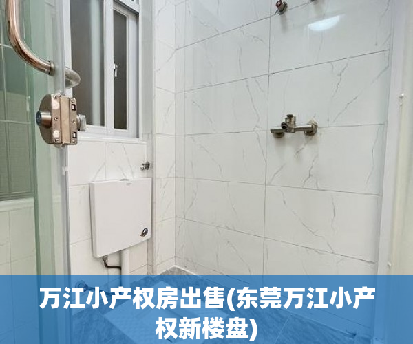万江小产权房出售(东莞万江小产权新楼盘) 万江小产权房出售(东莞万江小产权新楼盘)
