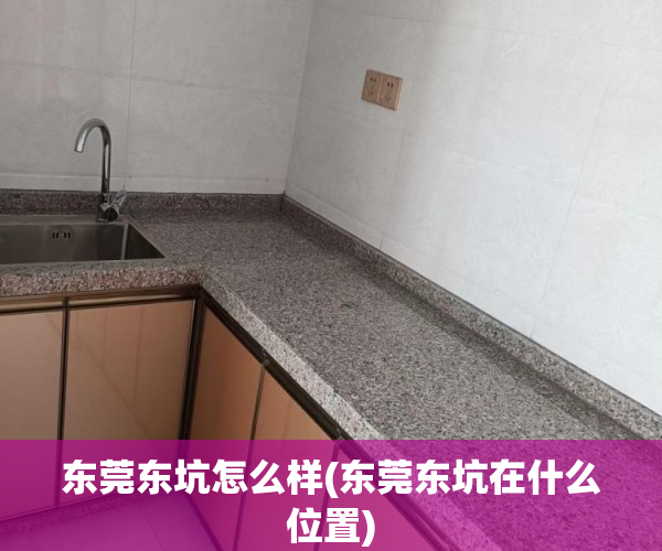 东莞东坑怎么样(东莞东坑在什么位置) 东莞东坑怎么样(东莞东坑在什么位置)