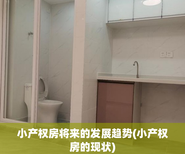 小产权房将来的发展趋势(小产权房的现状)