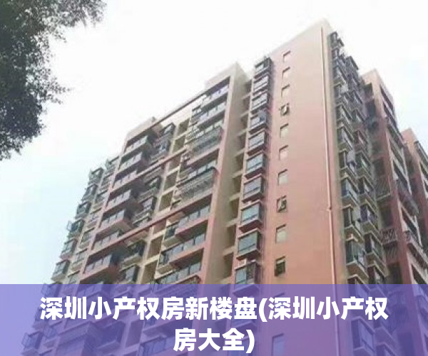 深圳小产权房新楼盘(深圳小产权房大全)