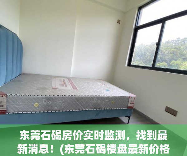 东莞石碣房价实时监测，找到最新消息！(东莞石碣楼盘最新价格表)