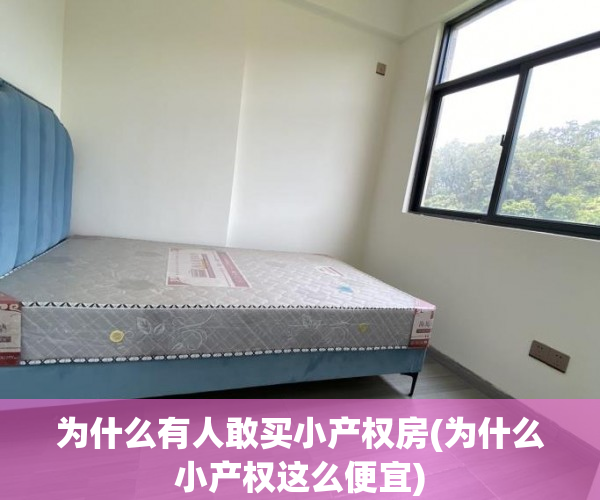 为什么有人敢买小产权房(为什么小产权这么便宜) 为什么有人敢买小产权房(为什么小产权这么便宜)